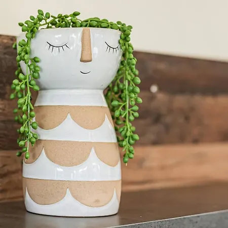 Quinta Dos Figos - Jacuzzi Perto Da Villa Guia